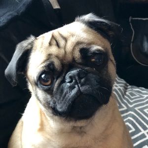 Meet your Posher, Maria katrina